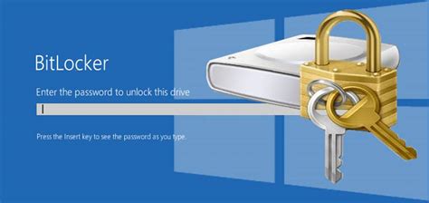 netlib encryptionizer|bitlocker windows 10.